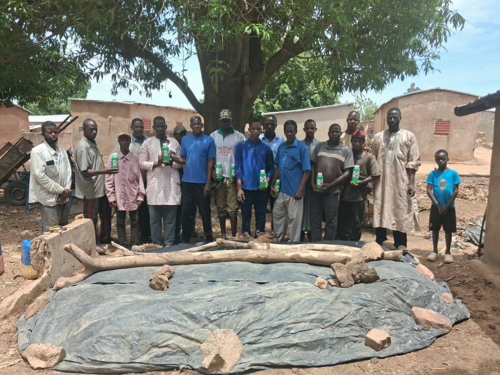 Mise en place des sites d'expérimentation de DJIBO-SERVICES en zone sud du Mali.